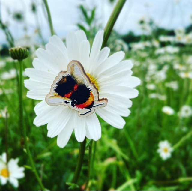 Bumble Bee Wooden Pin Badge