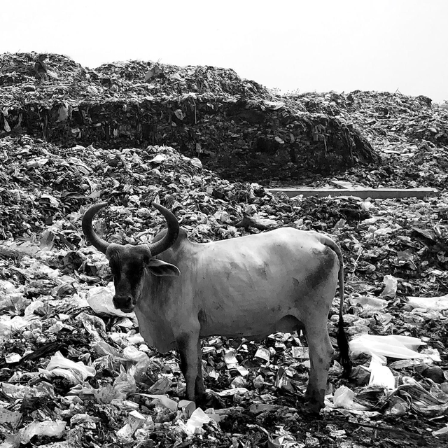 CD "La Edad del Plástico"
