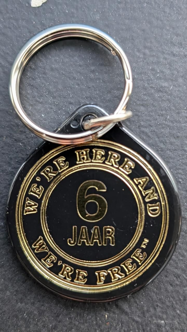 6 jaar plactic coin