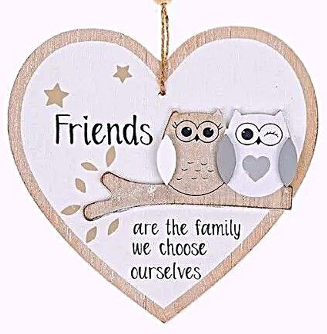 Friends owl hanging plaque.