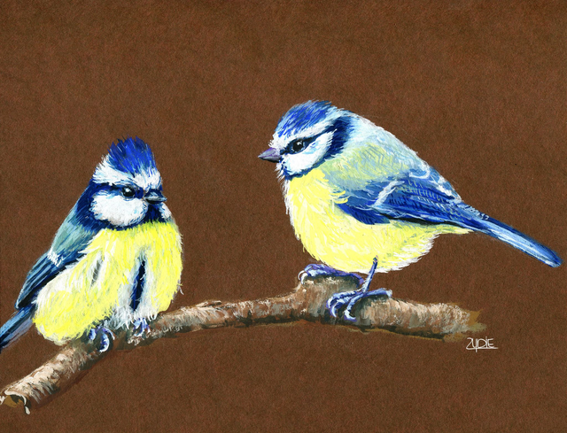 FineArt-Print - Blaumeisenpaar