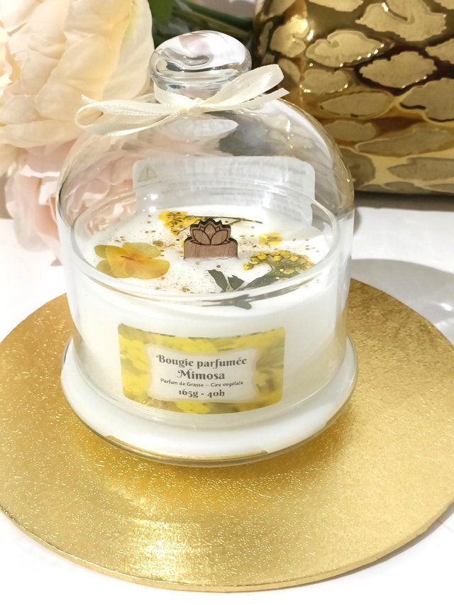 Bougie cloche mimosa
