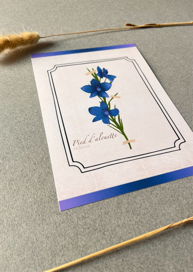 Affiche 07. Le Pied d'alouette (juillet)