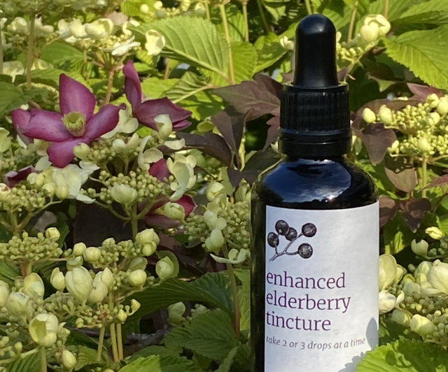 Enhanced Elderberry Tincture 50 ml