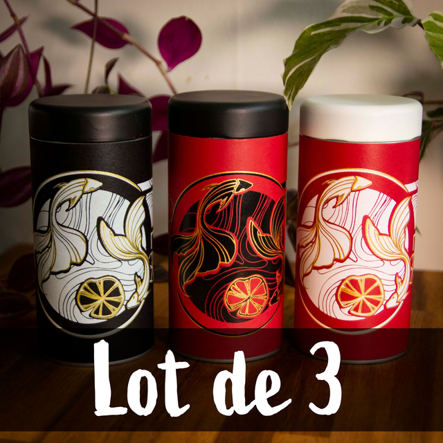 Lot de 3 boîtes poissons japonnais sérigraphiées