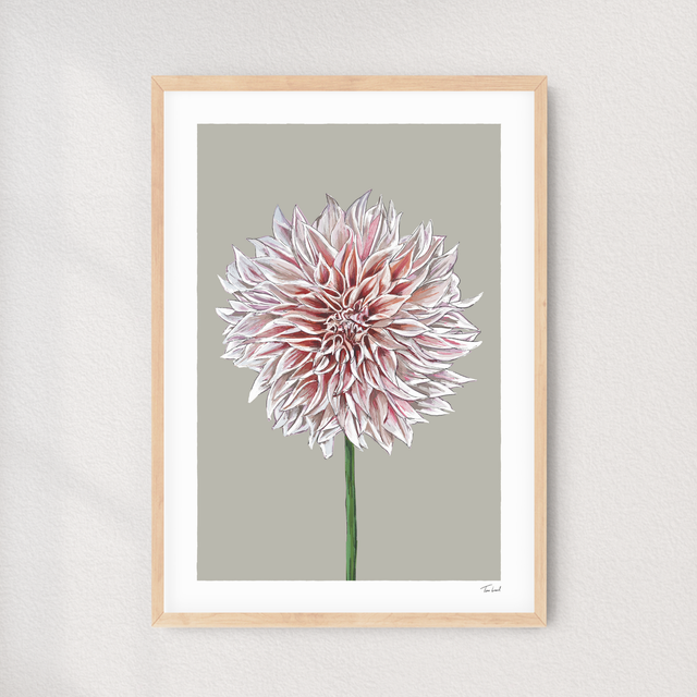 &#039;Café au Lait&#039; Dahlia art print