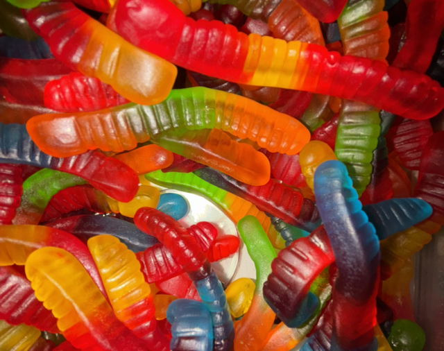 VERS DE TERRE LISSE 100g 