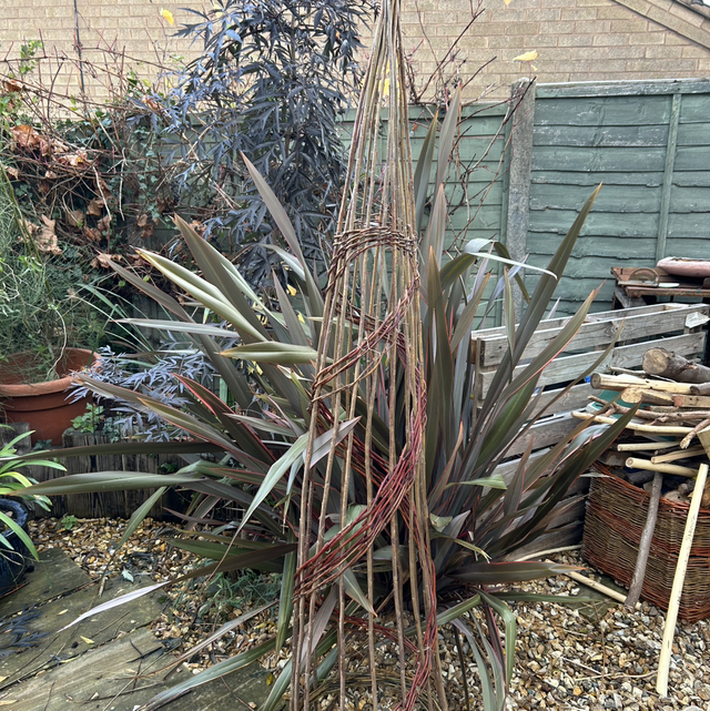 Obelisk  Course  21/03/26  10:00 - 3:00