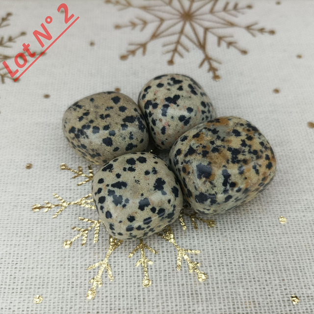 Jaspe Dalmatien / Pierres Roulées / Lot N° 2