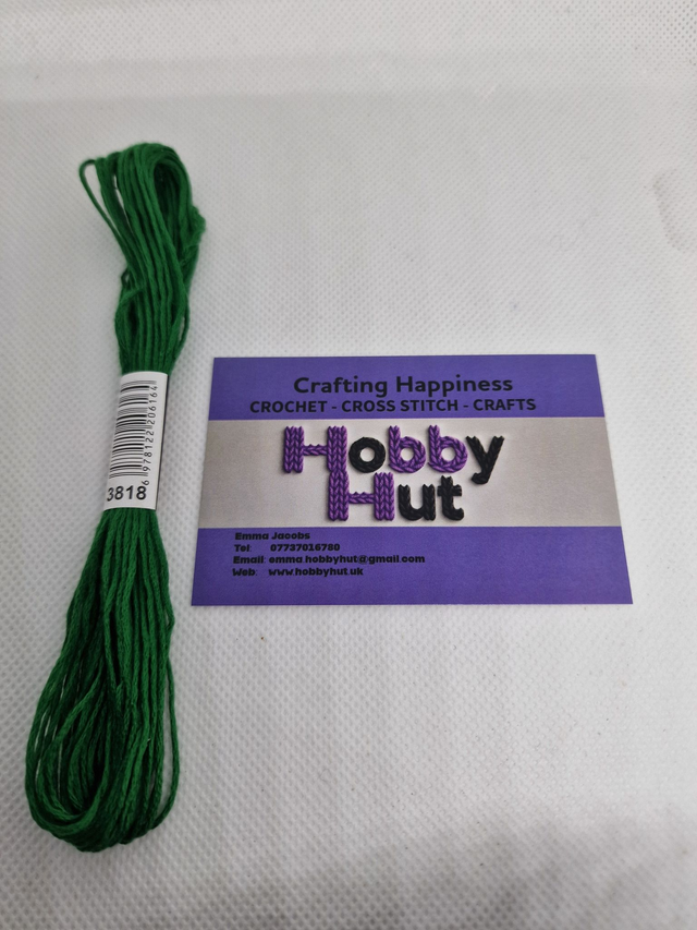 Embroidery Thread - 3818