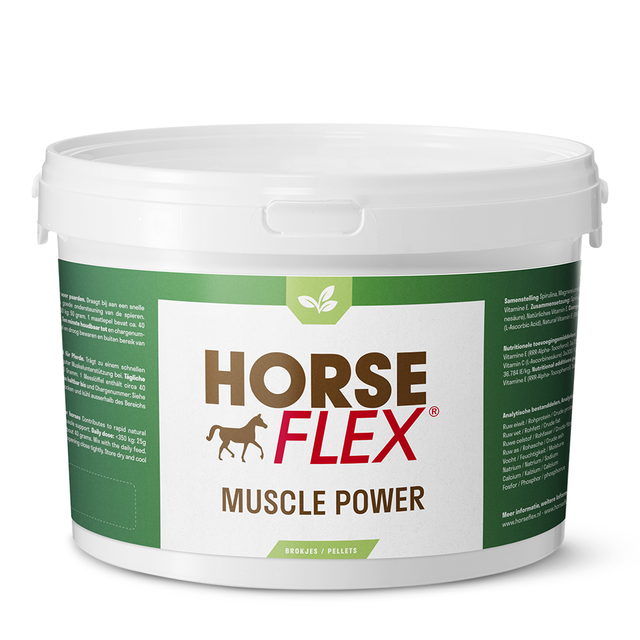 HorseFlex - Muscle Power 1.4KG