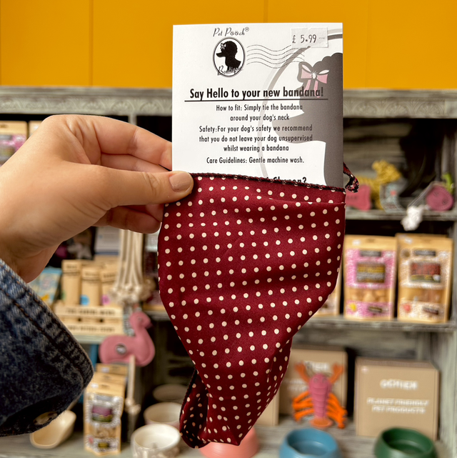Pet Pooch Boutique Olde English Red Polka Dot Dog Bandana - Small/Medium