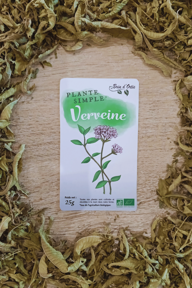 Plante simple, Verveine