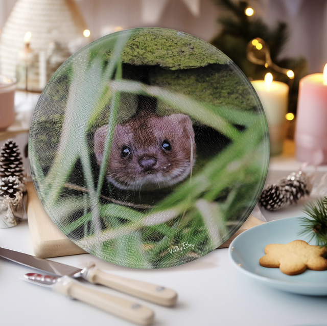 “Pop Goes the Weasel” Round Worktop Saver  