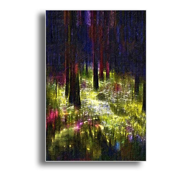 02 Nature - Jewels Of The Woods, 2020.