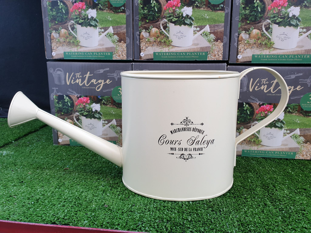 Metal Vintage Watering Can Planter - Indoor Cream
