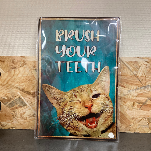 Tableau Chat &quot;Brush your teeth&quot;