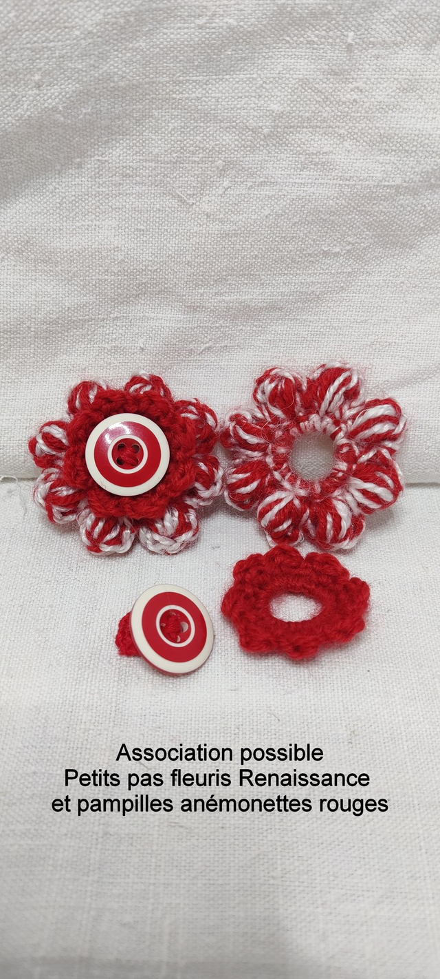 Duo Fleurs Pampilles Anémonettes Rouges