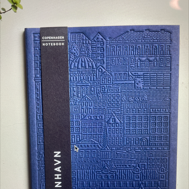 the copenhagen notebook