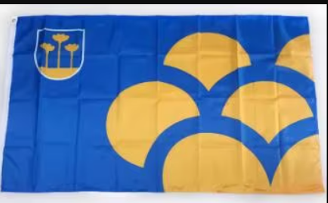 Grote vlag Zoetermeer (150x90cm)