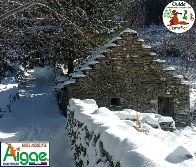 14/02 -  Ciaspolata Celtica di San Valentino e cena in agriturismo a Fiumalbo (MO)