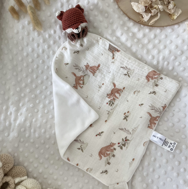 Diego, renard forêt 