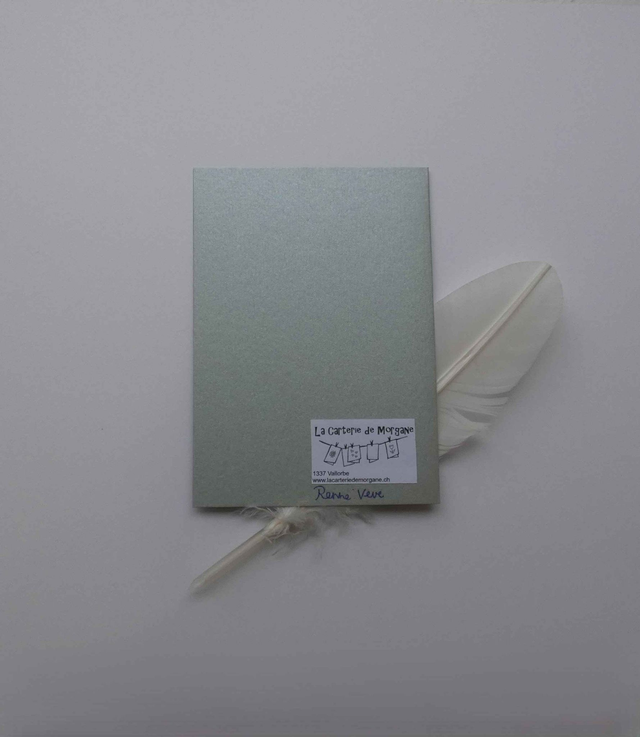 Le renne du père noël