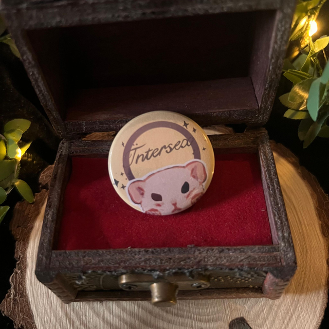 Chapa LGBTQ+ Rats // Intersex