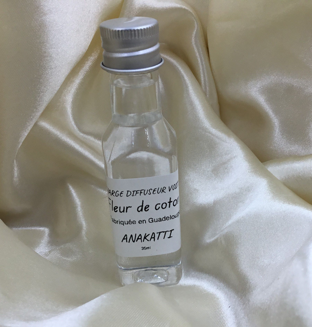 Recharge pour diffuseur de voiture