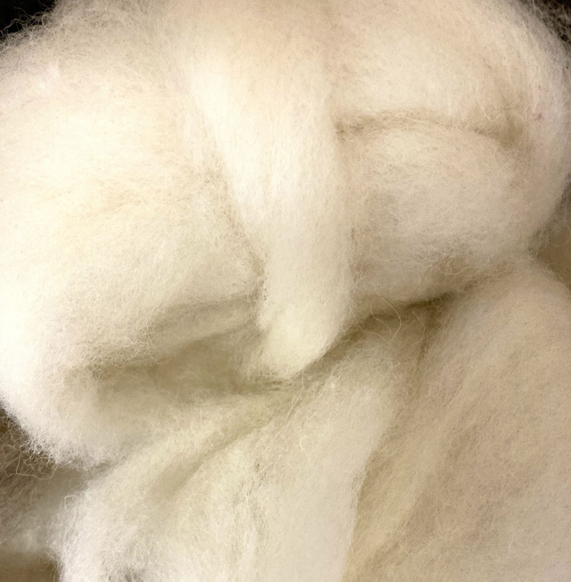 Core Wool Sliver