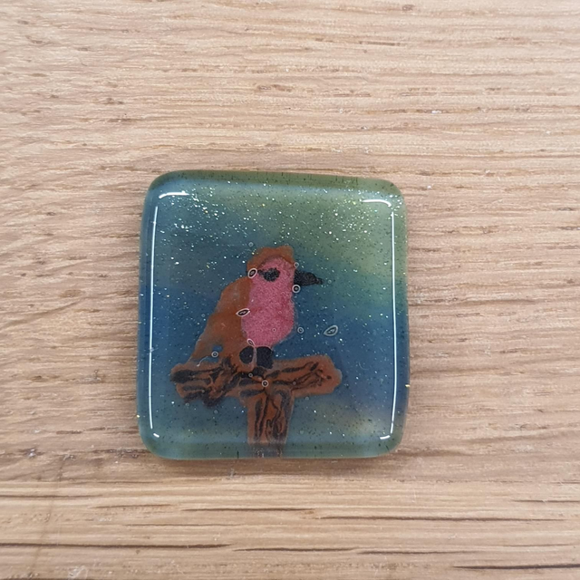 Robin glass enamel badge