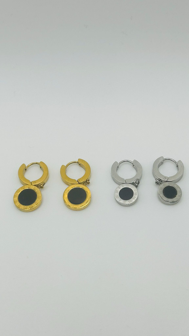 Stainless Steel Earrings (SSE14J)