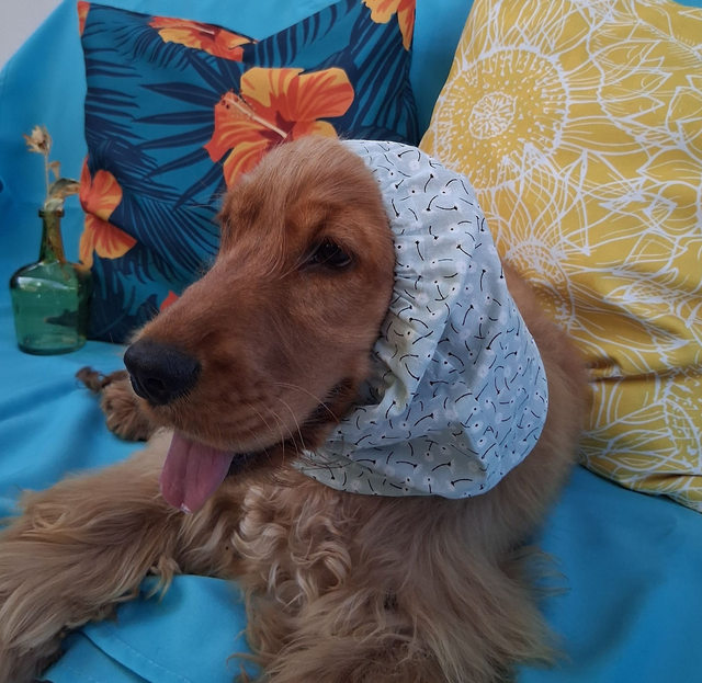 Snood Taille M Fleurettes Vert D’eau