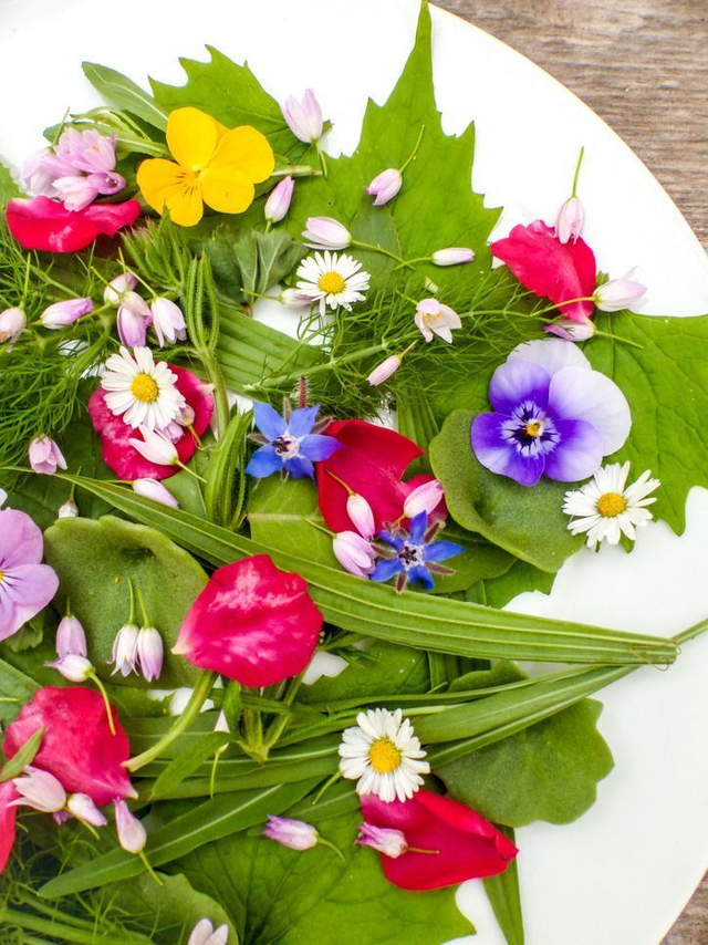 week end cuisine des plantes sauvage 6 et 7 juin 2026