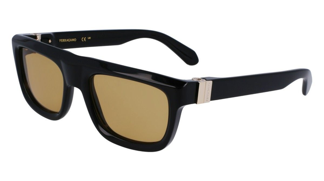 Eyewear Man Salvatore Ferragamo  SF2009S 011