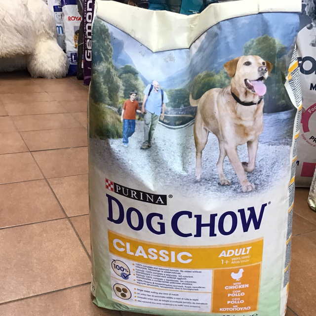 PURINA DOG CHOW ADULT 10KG POLLO
