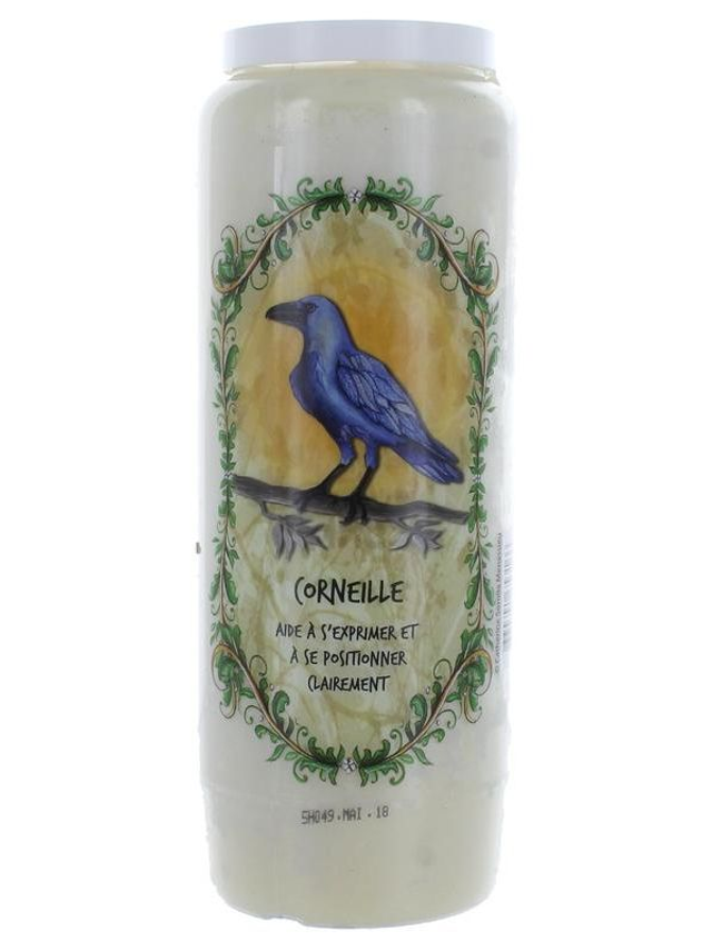 Neuvaine animal totem - Corneille