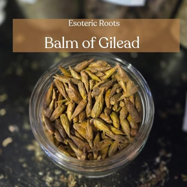 Balm of Gilead (20g) - Healing, Protection &amp; Spiritual Comfort Esoteric Roots 