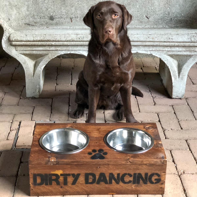 Pota Ciotole per cani e gatti