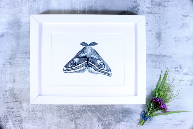 Drypoint Print: Emperor Moth