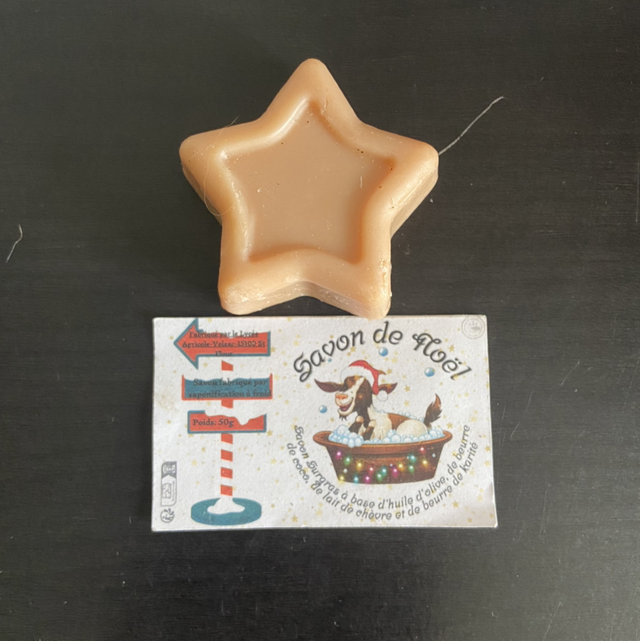 Savon de Noël 50g