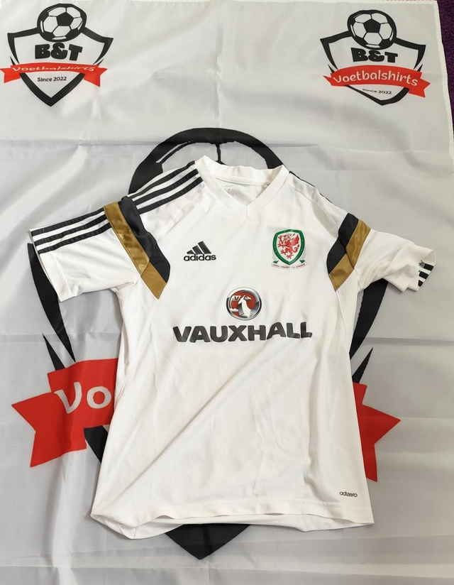 Wales Player Issue Training Shirt 2014/2015