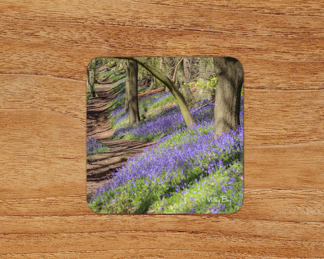 “Bluebell Woodland” Coaster 