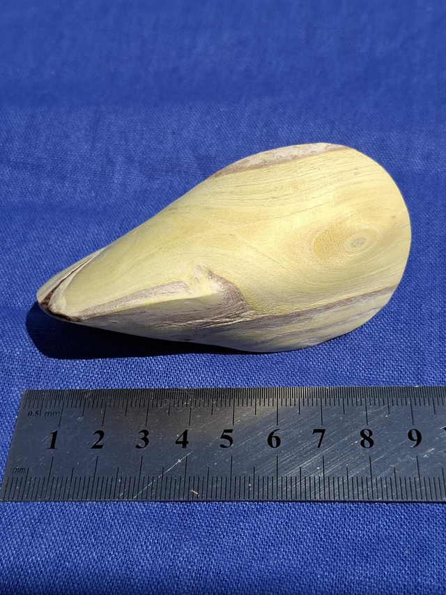 Oloïde van Blauweregen