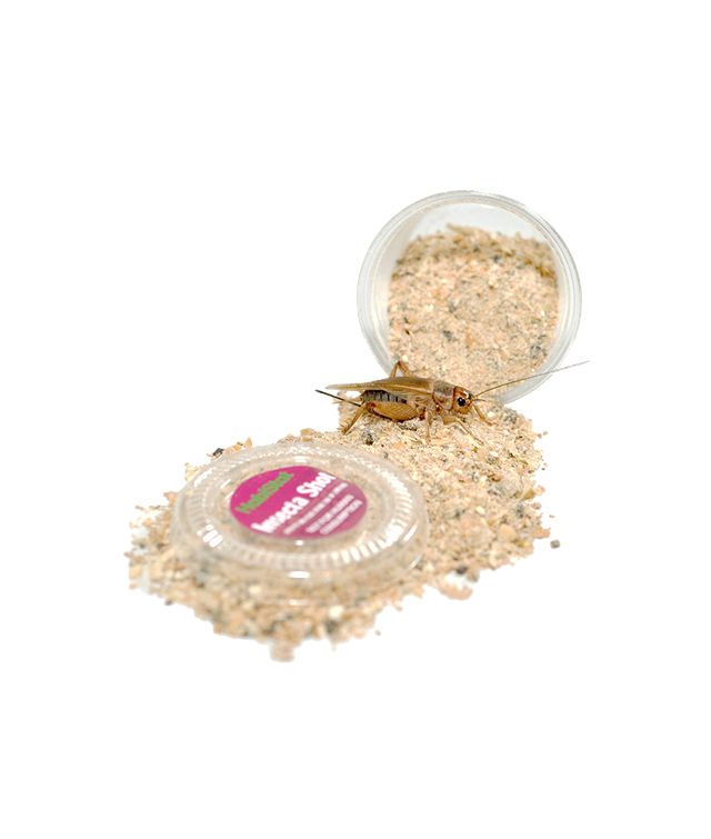 Aliments grillons en capsules 