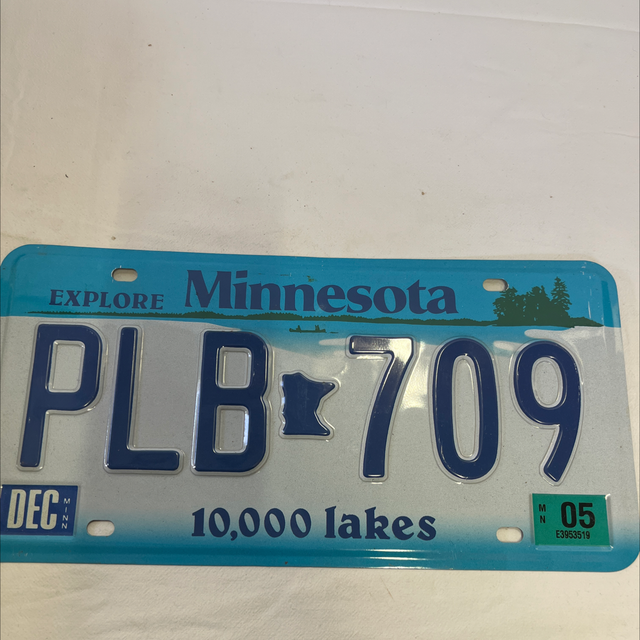 plaque d’immatriculation décorative 