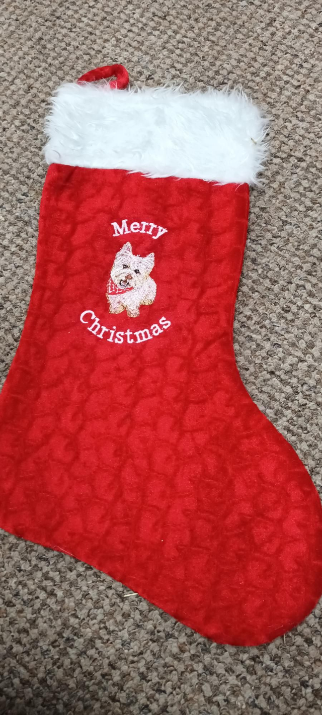 Western terrier stocking