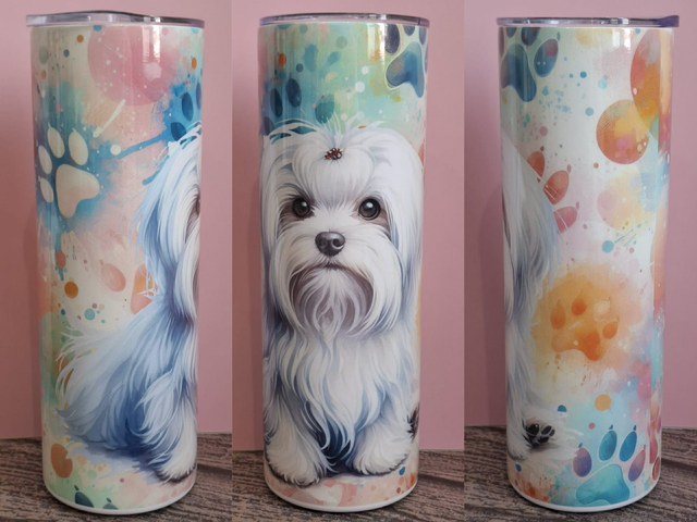 Collection Coloré Gourde Canette Bichon