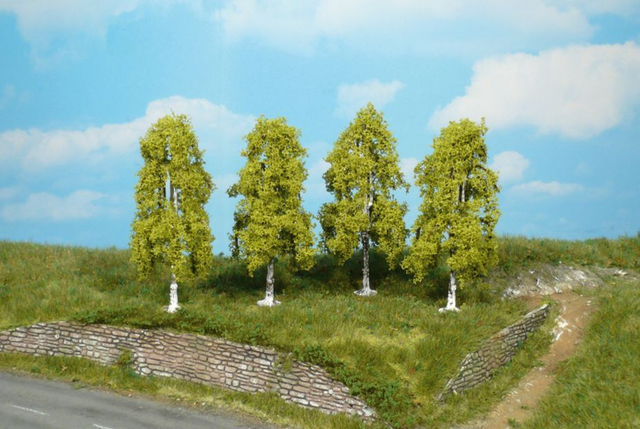 4 bouleaux 9cm Héki 1722