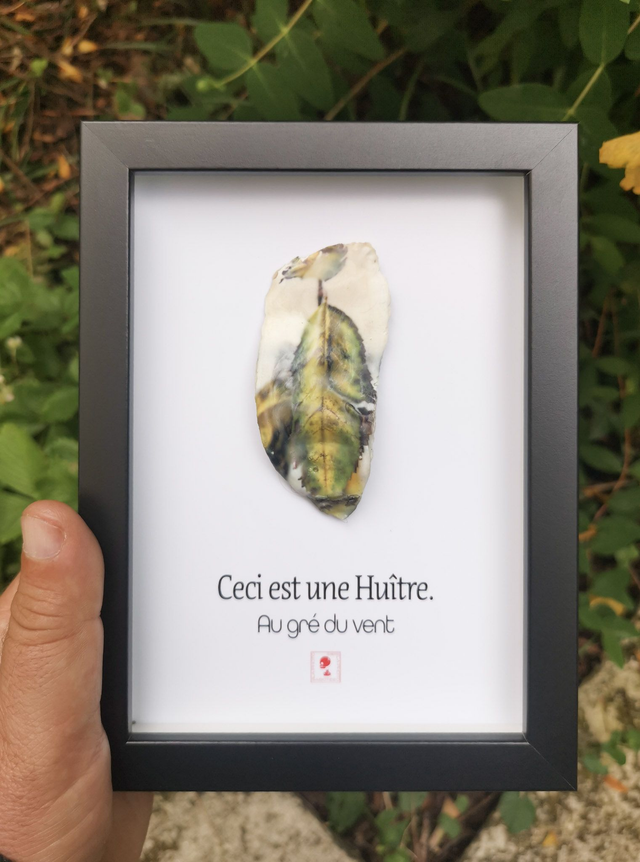 13x18 : Ceci est une huitre "Au grés du vent"